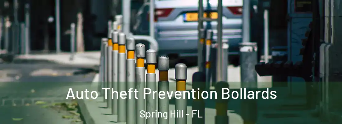 Auto Theft Prevention Bollards Spring Hill - FL