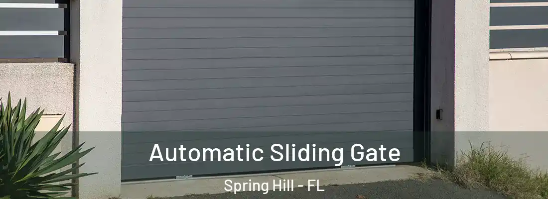Automatic Sliding Gate Spring Hill - FL
