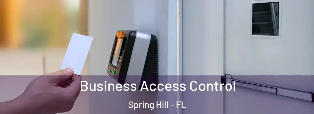 Business Access Control Spring Hill - FL