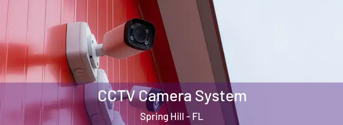  CCTV Camera System Spring Hill - FL
