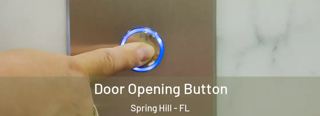 Door Opening Button Spring Hill - FL