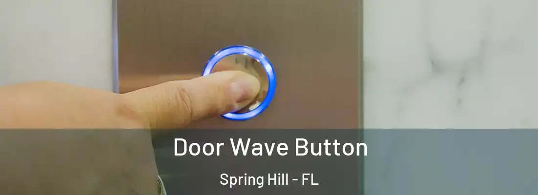 Door Wave Button Spring Hill - FL