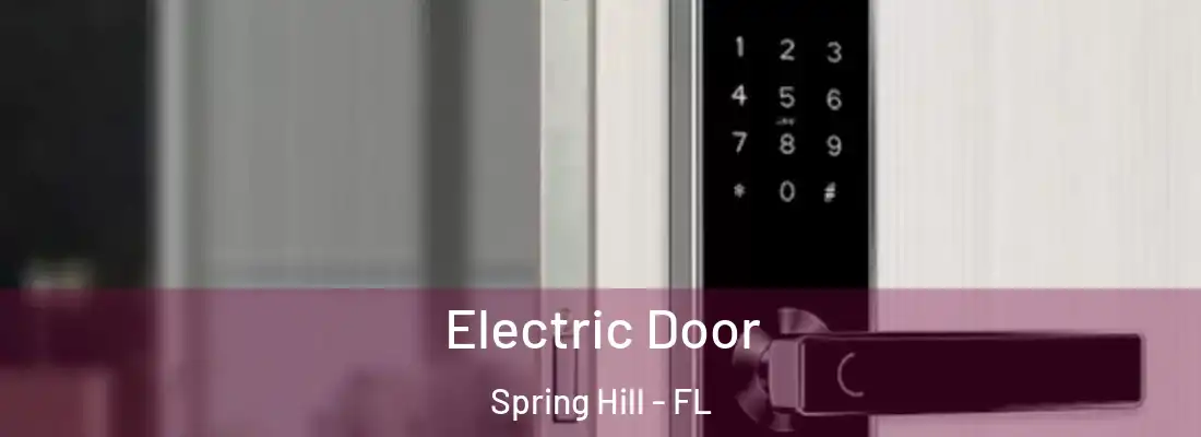  Electric Door Spring Hill - FL