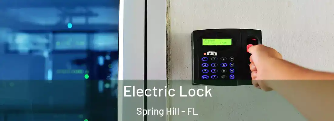 Electric Lock Spring Hill - FL