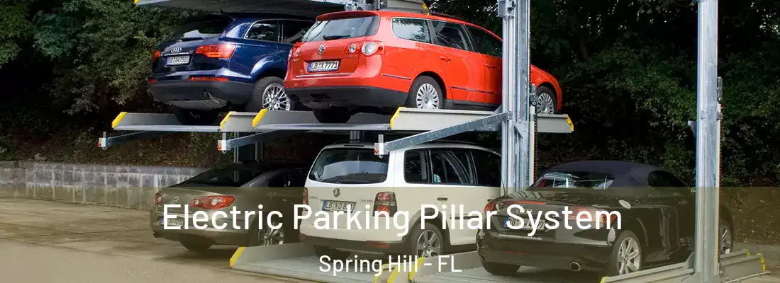 Electric Parking Pillar System Spring Hill - FL