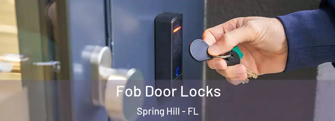 Fob Door Locks Spring Hill - FL