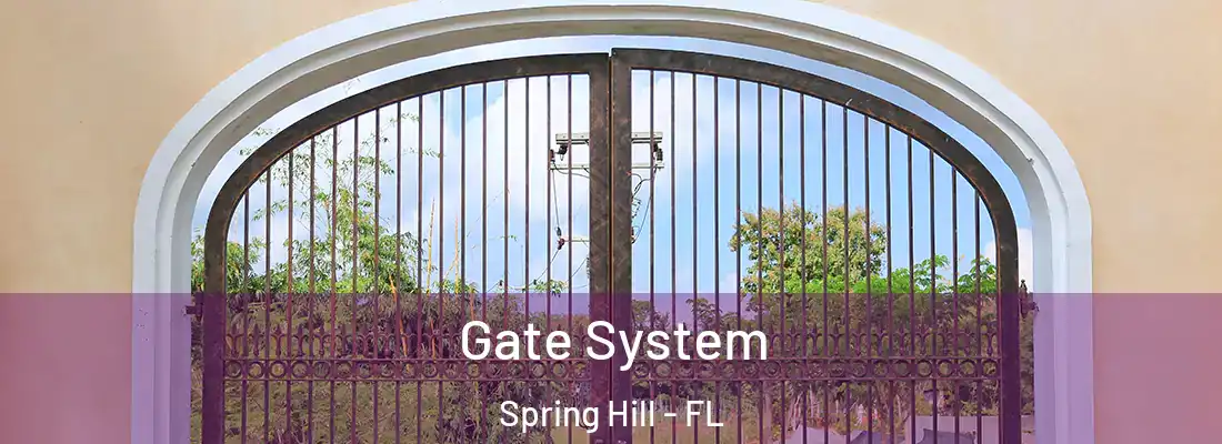 Gate System Spring Hill - FL