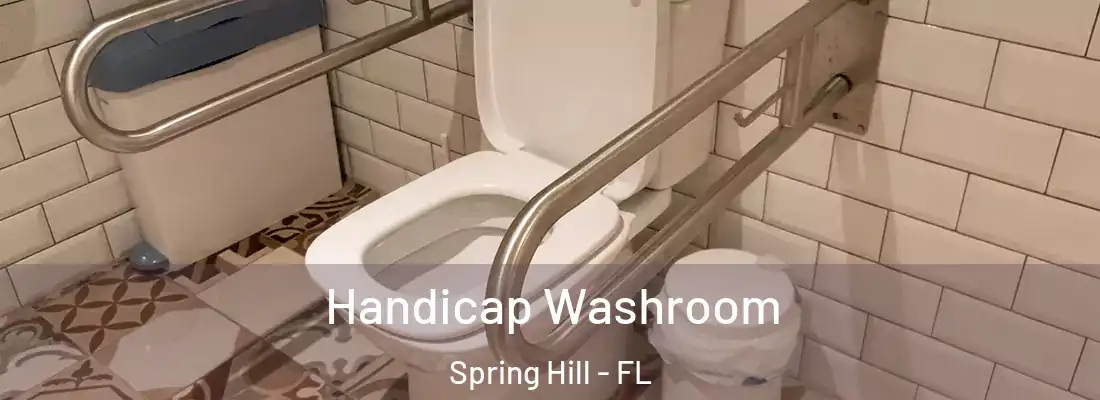  Handicap Washroom Spring Hill - FL