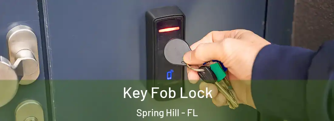 Key Fob Lock Spring Hill - FL