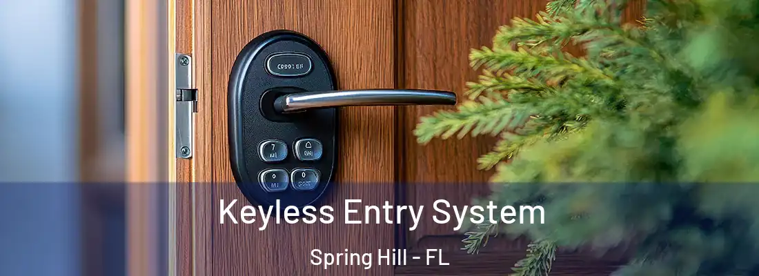 Keyless Entry System Spring Hill - FL