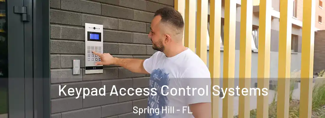 Keypad Access Control Systems Spring Hill - FL