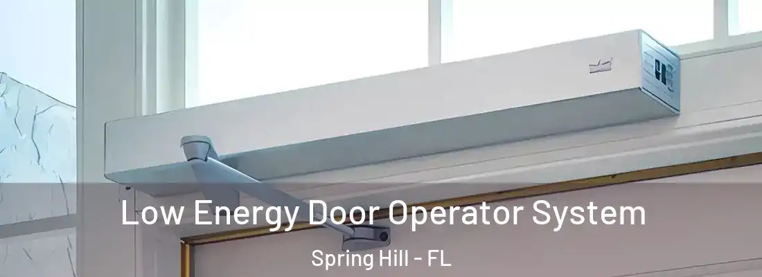 Low Energy Door Operator System Spring Hill - FL