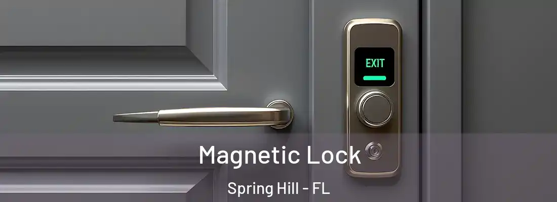  Magnetic Lock Spring Hill - FL