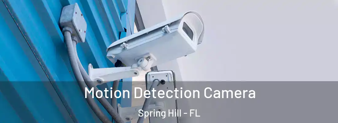 Motion Detection Camera Spring Hill - FL