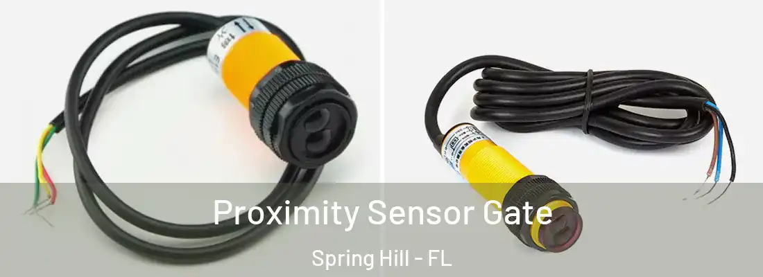 Proximity Sensor Gate Spring Hill - FL