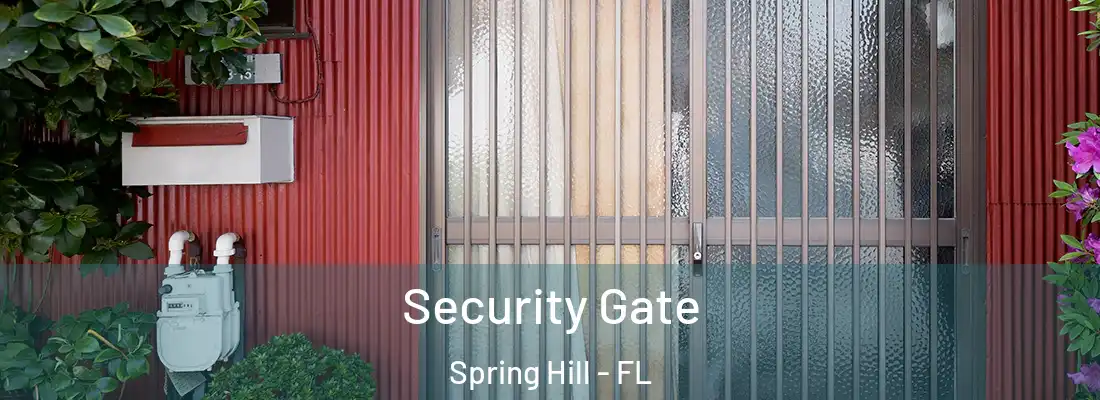 Security Gate Spring Hill - FL
