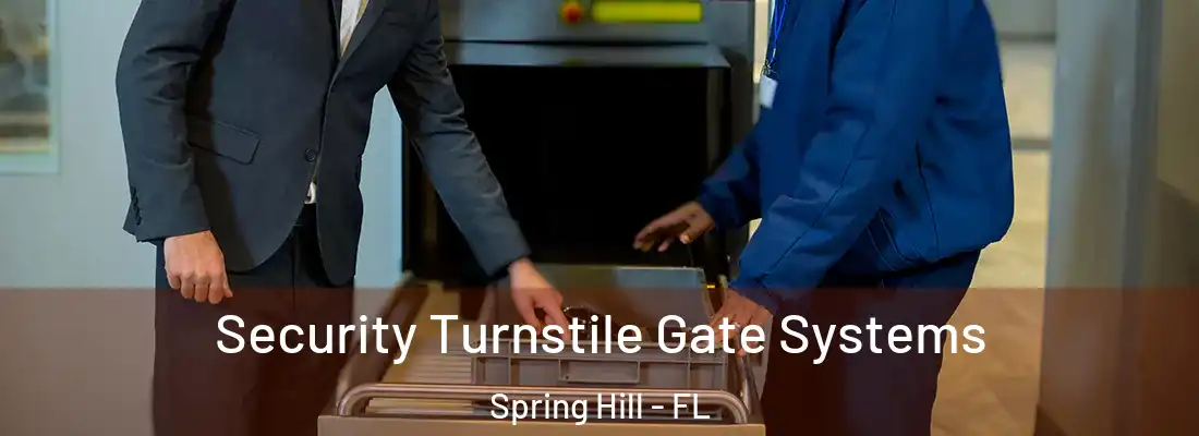  Security Turnstile Gate Systems Spring Hill - FL