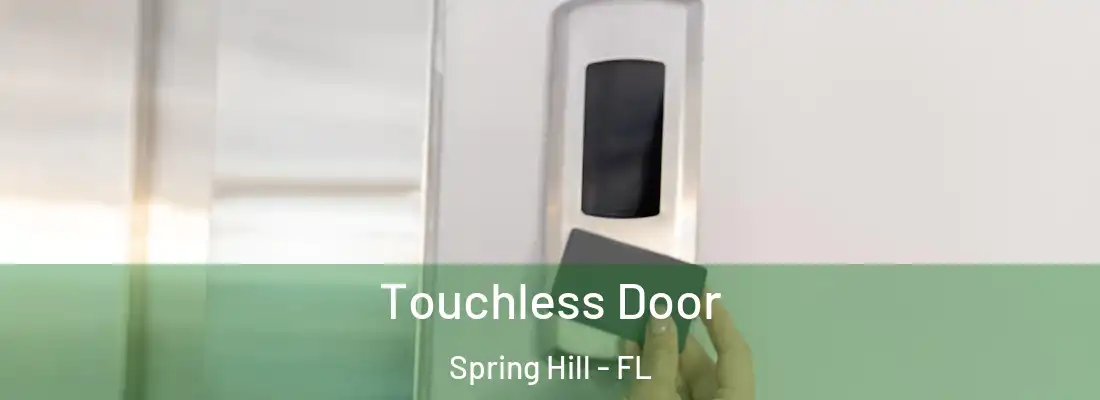 Touchless Door Spring Hill - FL