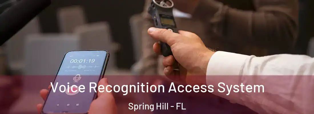 Voice Recognition Access System Spring Hill - FL