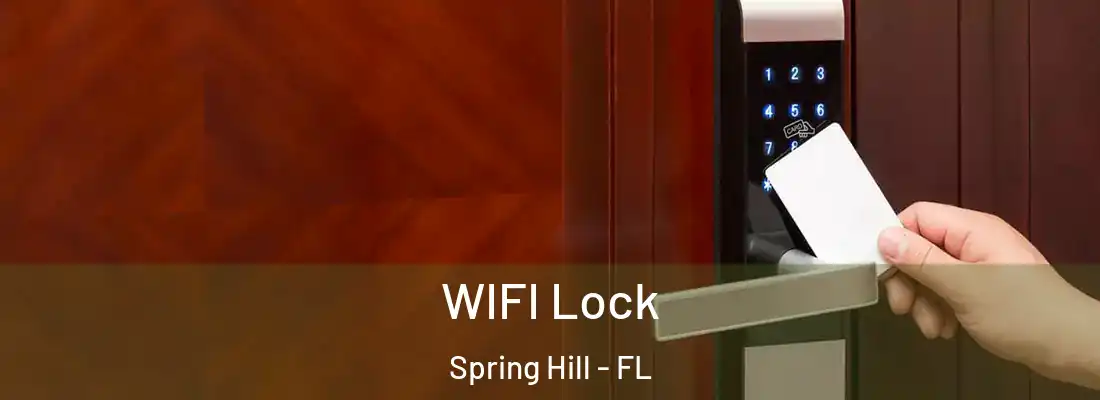  WIFI Lock Spring Hill - FL